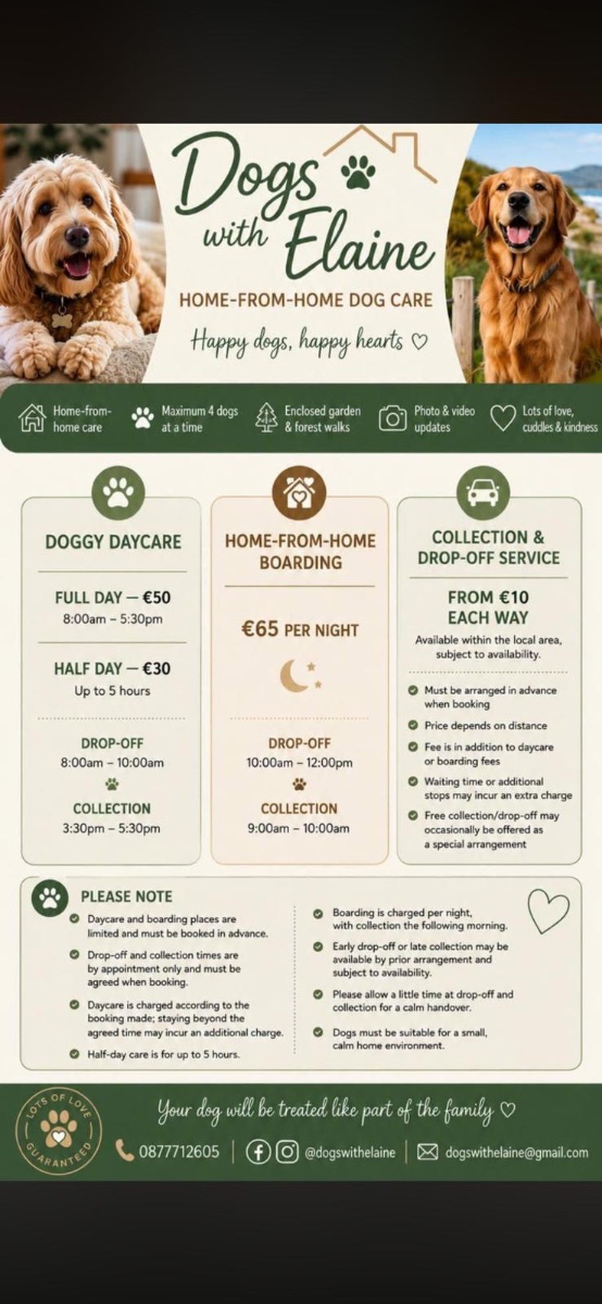 Listing photo from Dog Walking (starts from €18) in Killiney, Dublin