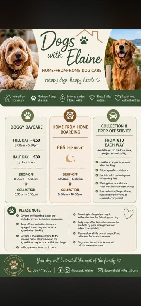 Dog Walking (starts from €18) in Killiney, Dublin